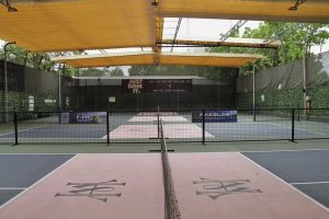 Sân Pickleball Wessie Haus - Mỹ Đình
